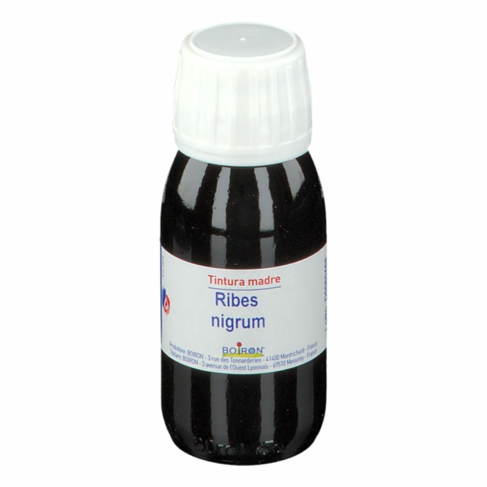 Ribes nigranulium tintura madre 60 ml