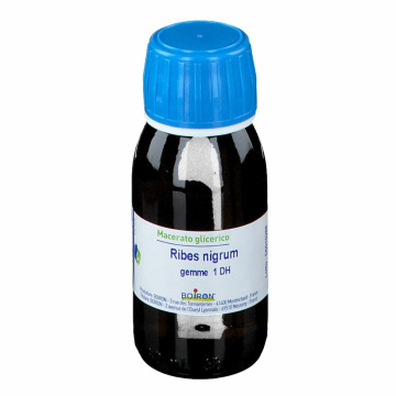 Ribes Nigrum Gemme Macerato Glicerico 60 ml