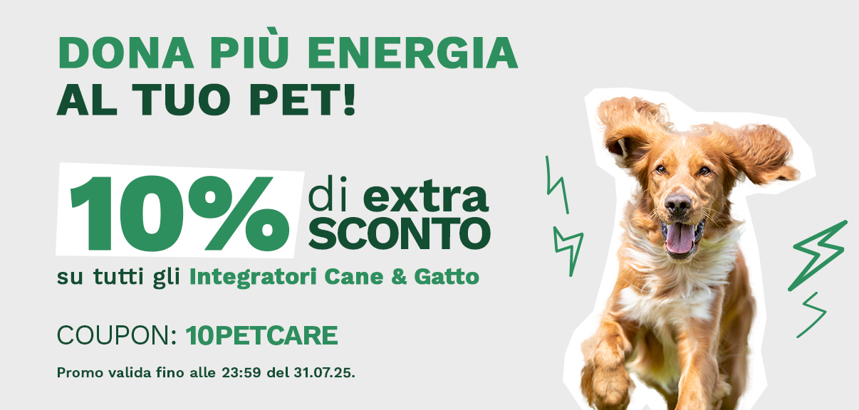 Promo PET